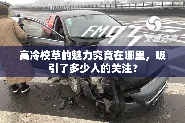 高冷校草的魅力究竟在哪里，吸引了多少人的关注？