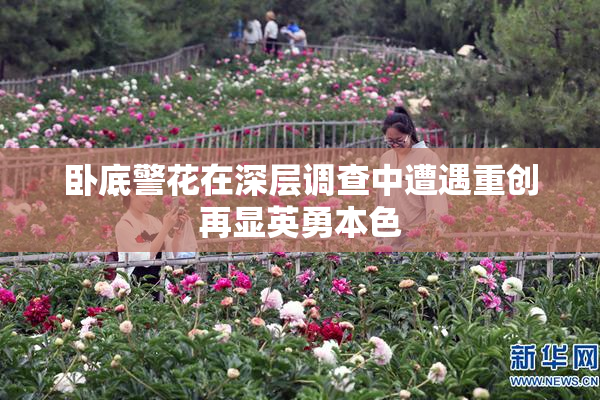 卧底警花在深层调查中遭遇重创再显英勇本色