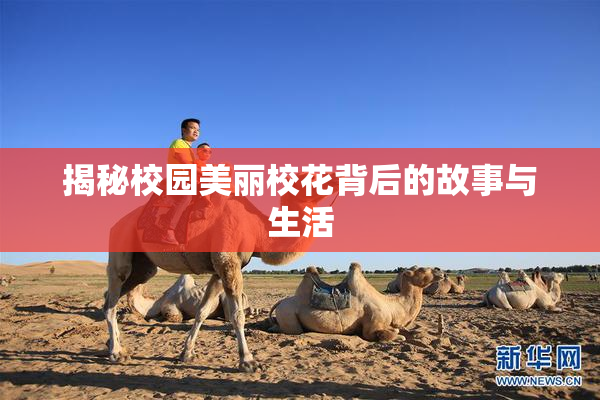 揭秘校园美丽校花背后的故事与生活