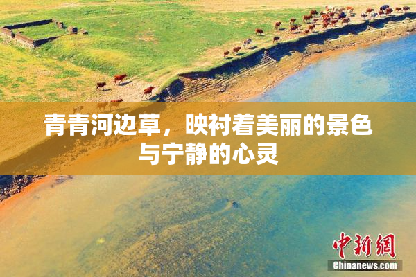 青青河边草，映衬着美丽的景色与宁静的心灵