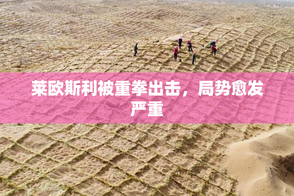 莱欧斯利被重拳出击，局势愈发严重