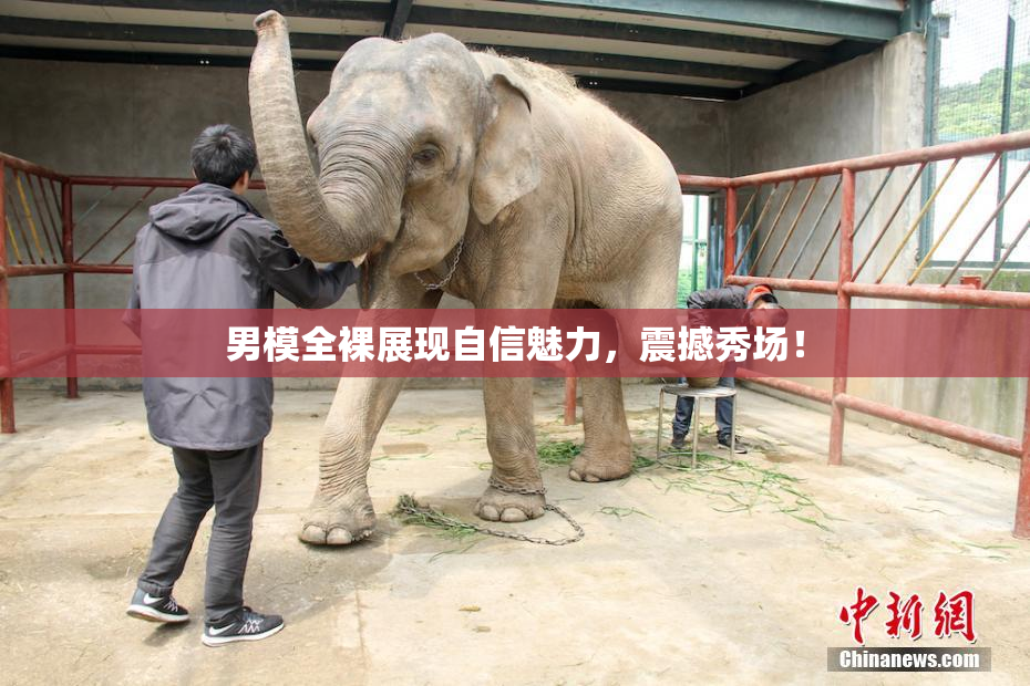 男模全裸展现自信魅力，震撼秀场！