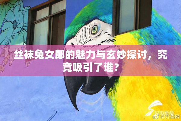 丝袜兔女郎的魅力与玄妙探讨，究竟吸引了谁？