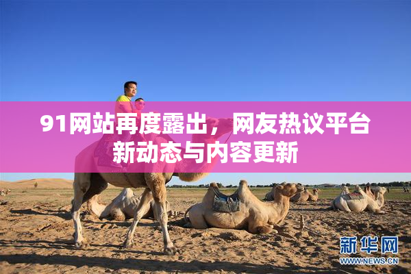91网站再度露出，网友热议平台新动态与内容更新