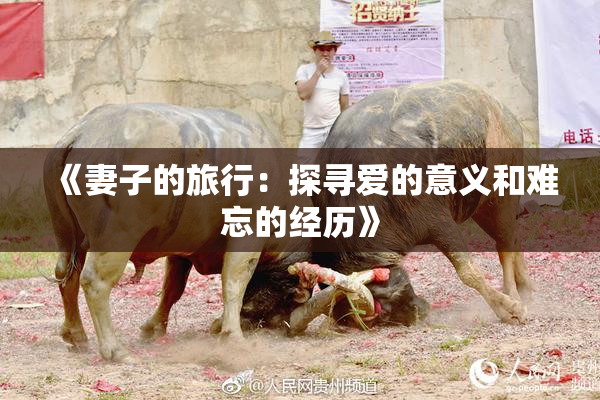《妻子的旅行：探寻爱的意义和难忘的经历》