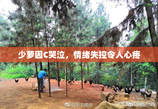 少萝因C哭泣，情绪失控令人心疼