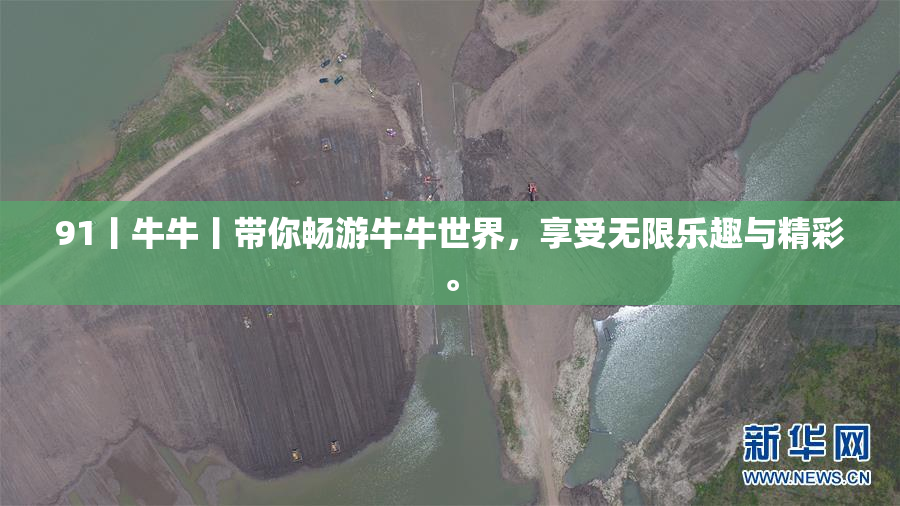 91丨牛牛丨带你畅游牛牛世界，享受无限乐趣与精彩。