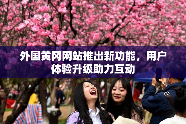 外国黄冈网站推出新功能，用户体验升级助力互动
