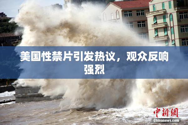 美国性禁片引发热议，观众反响强烈