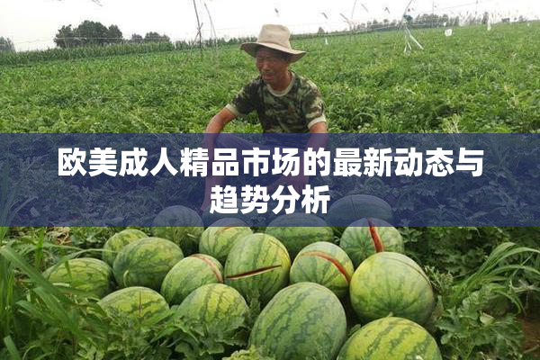 欧美成人精品市场的最新动态与趋势分析