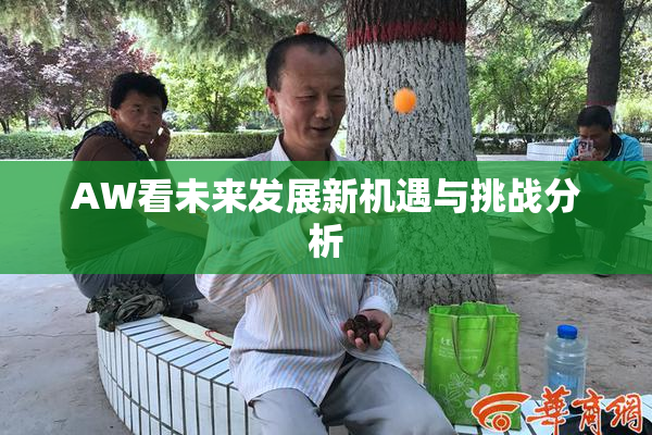 AW看未来发展新机遇与挑战分析