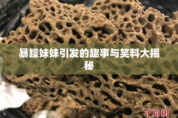 暴躁妹妹引发的趣事与笑料大揭秘