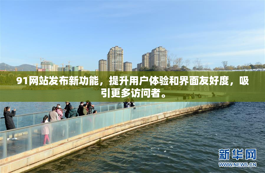 91网站发布新功能，提升用户体验和界面友好度，吸引更多访问者。