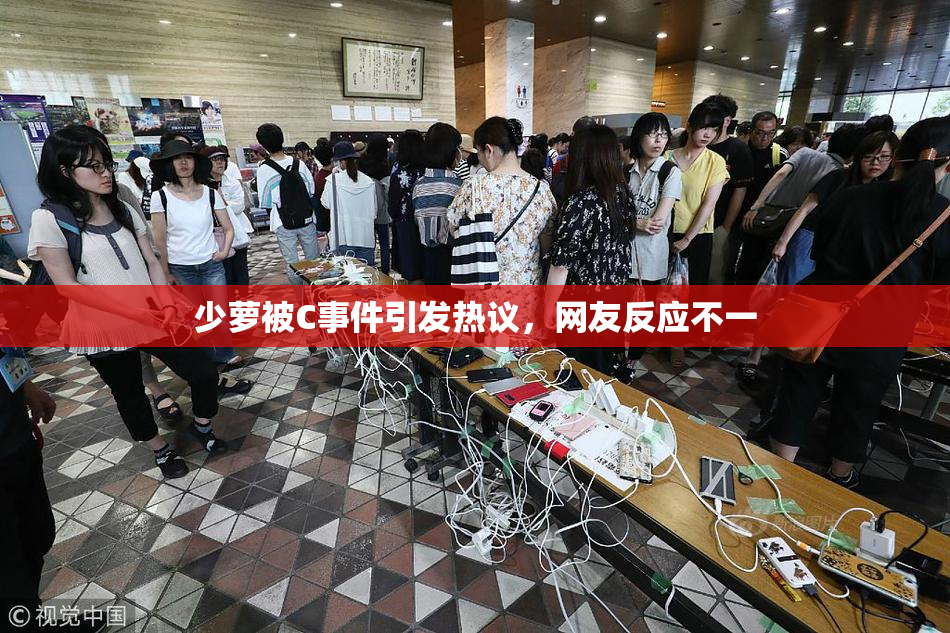 少萝被C事件引发热议，网友反应不一