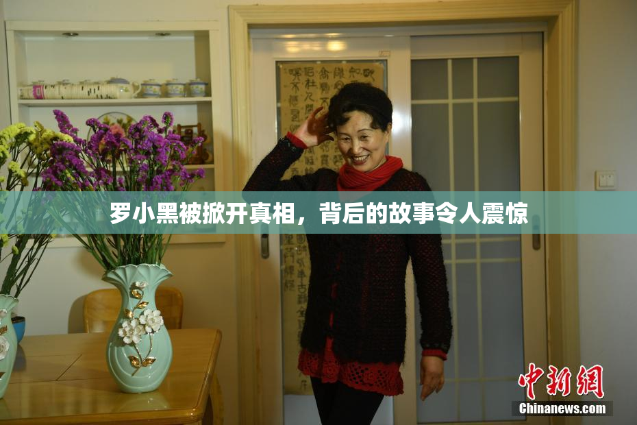 罗小黑被掀开真相，背后的故事令人震惊