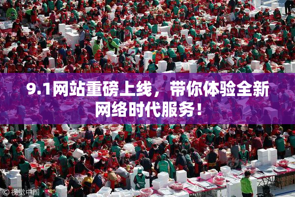 9.1网站重磅上线，带你体验全新网络时代服务！