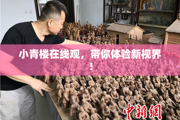 小青楼在线观，带你体验新视界！