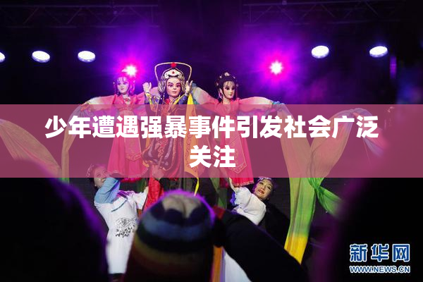 少年遭遇强暴事件引发社会广泛关注