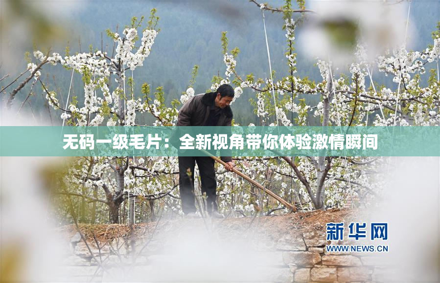 无码一级毛片：全新视角带你体验激情瞬间