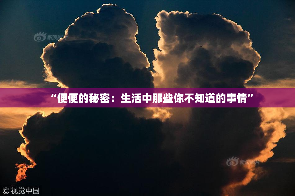 “便便的秘密：生活中那些你不知道的事情”