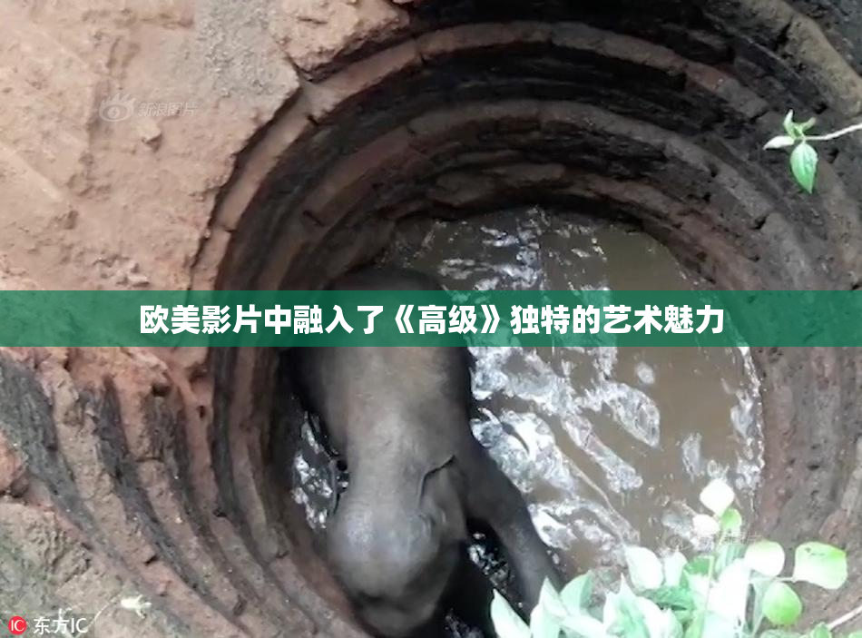 欧美影片中融入了《高级》独特的艺术魅力
