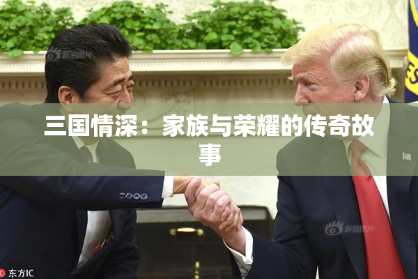三国情深：家族与荣耀的传奇故事