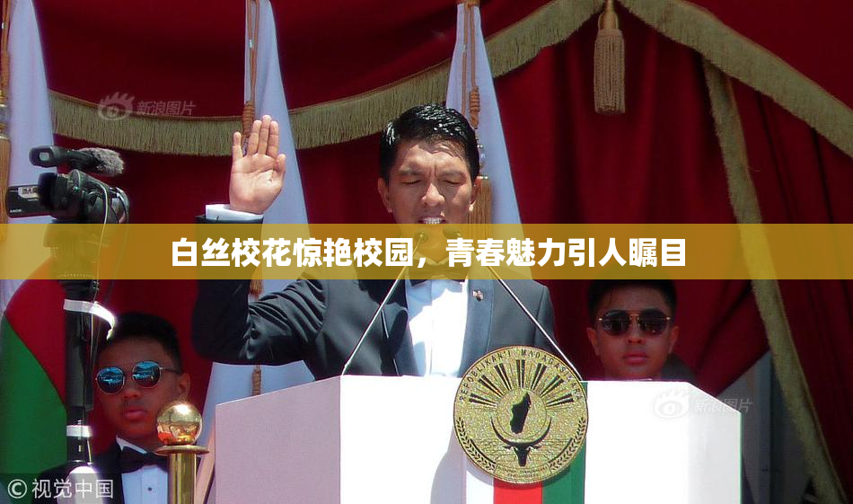 白丝校花惊艳校园，青春魅力引人瞩目
