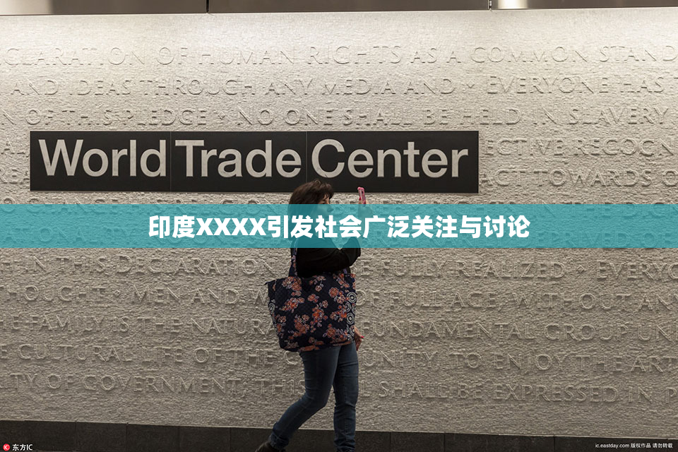 印度XXXX引发社会广泛关注与讨论
