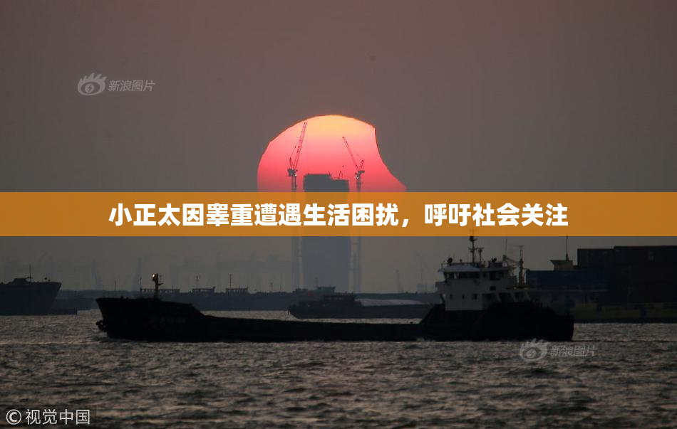 小正太因睾重遭遇生活困扰，呼吁社会关注
