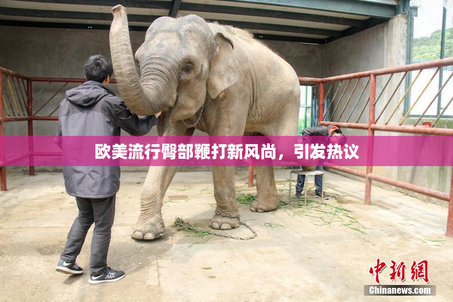 欧美流行臀部鞭打新风尚，引发热议