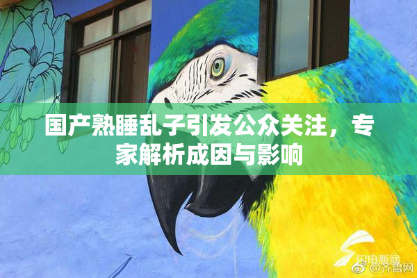 国产熟睡乱子引发公众关注，专家解析成因与影响