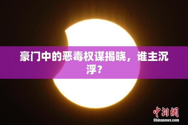 豪门中的恶毒权谋揭晓，谁主沉浮？
