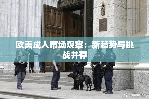 欧美成人市场观察：新趋势与挑战并存