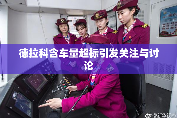 德拉科含车量超标引发关注与讨论