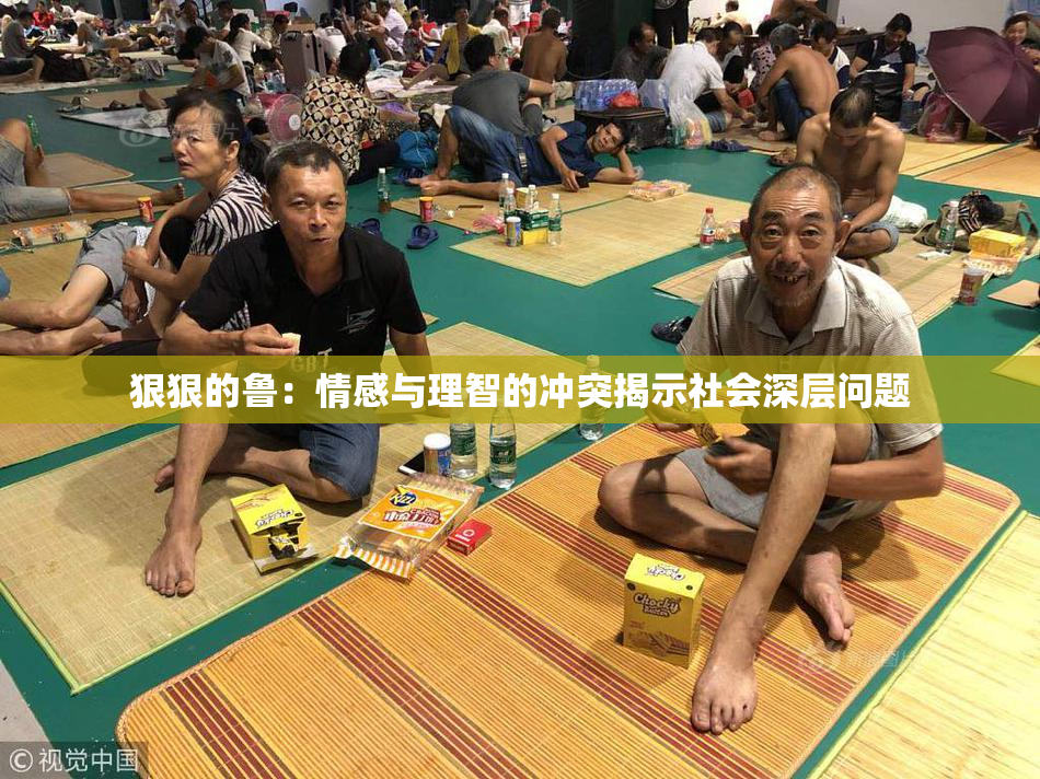 狠狠的鲁：情感与理智的冲突揭示社会深层问题
