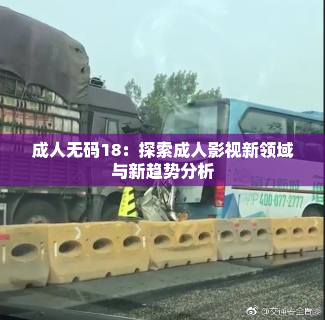 成人无码18：探索成人影视新领域与新趋势分析