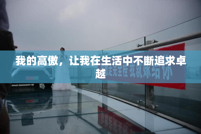 我的高傲，让我在生活中不断追求卓越