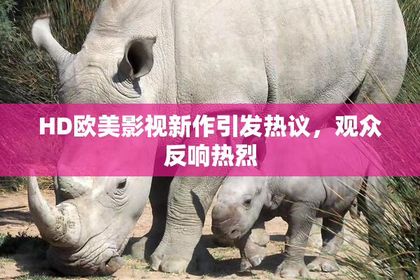 HD欧美影视新作引发热议，观众反响热烈