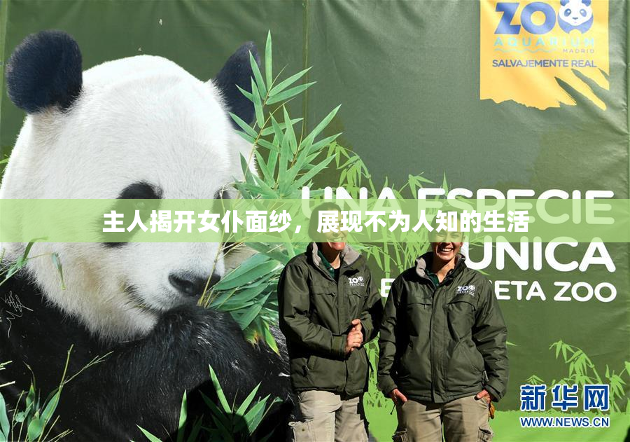 主人揭开女仆面纱，展现不为人知的生活