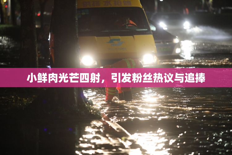 小鲜肉光芒四射，引发粉丝热议与追捧