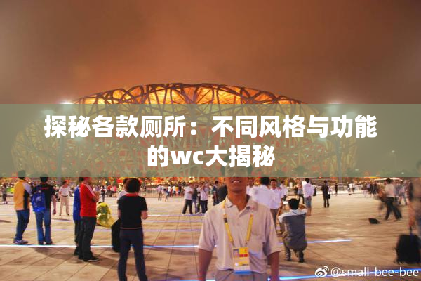 探秘各款厕所：不同风格与功能的wc大揭秘