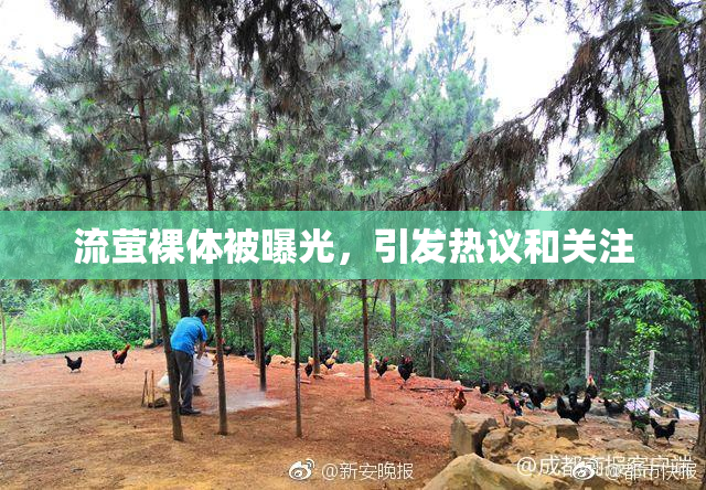 流萤裸体被曝光，引发热议和关注