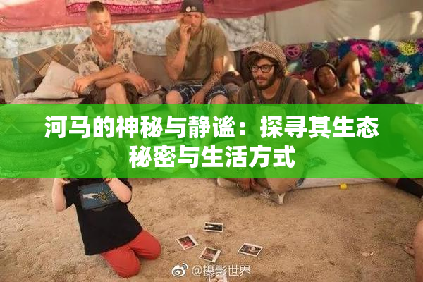 河马的神秘与静谧：探寻其生态秘密与生活方式