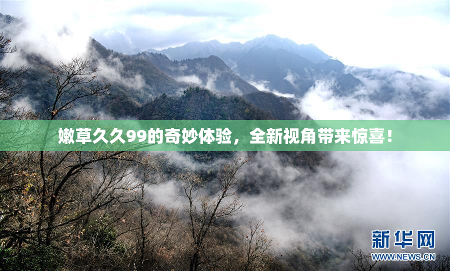 嫩草久久99的奇妙体验，全新视角带来惊喜！