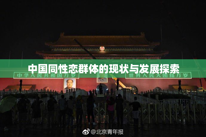 中国同性恋群体的现状与发展探索