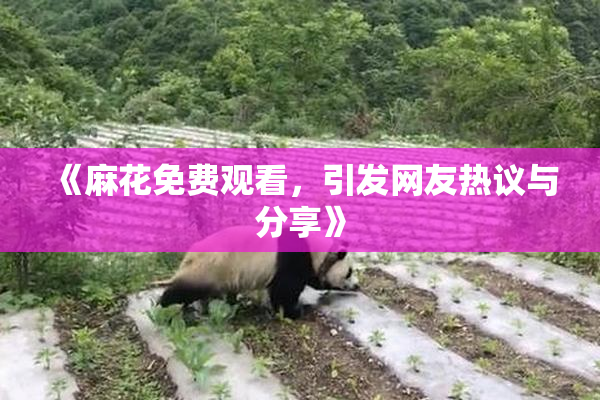 《麻花免费观看，引发网友热议与分享》
