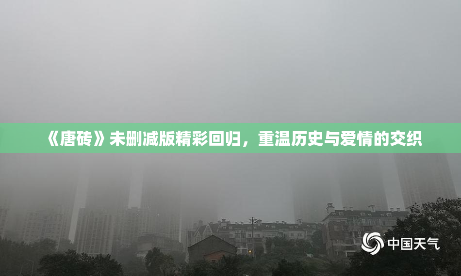 《唐砖》未删减版精彩回归，重温历史与爱情的交织