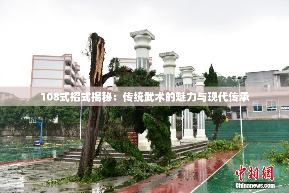 108式招式揭秘：传统武术的魅力与现代传承