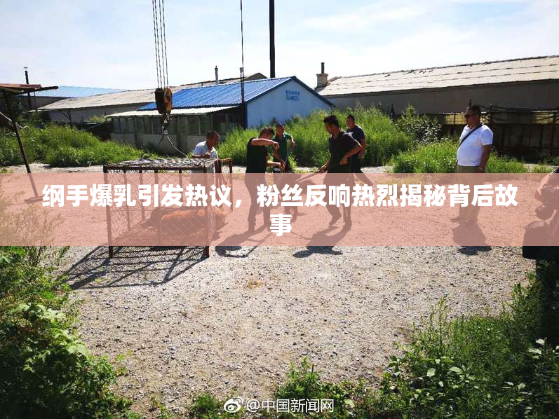 纲手爆乳引发热议，粉丝反响热烈揭秘背后故事