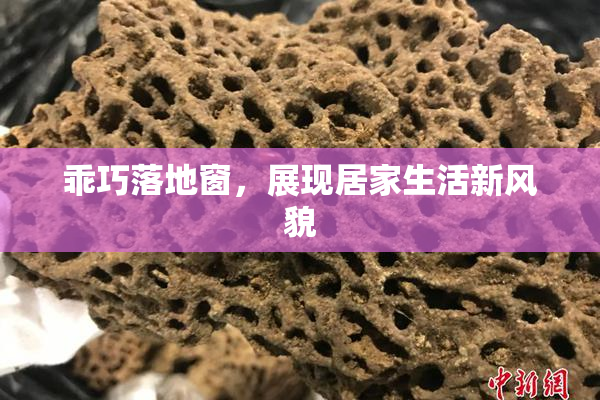乖巧落地窗，展现居家生活新风貌